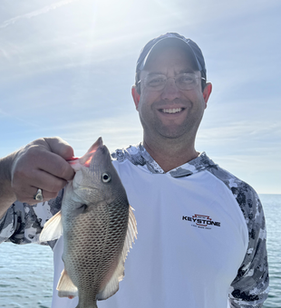 Fresh Clearwater white grunt ready for the cooler!