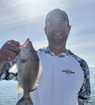 Fresh Clearwater white grunt brought to the boat!