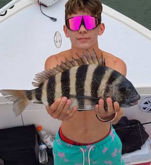 Impressive Sheepshead Catch