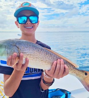 Redfish Hooked up in Crystal River!