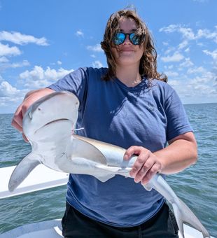Reeling in shark in Crystal River