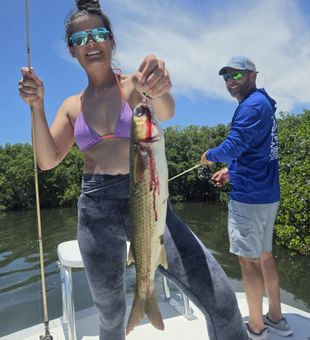 Nice Flathead Grey Mullet from Citrus County FL waters!