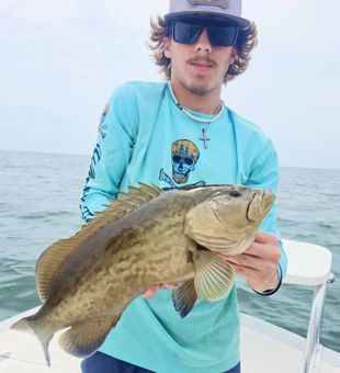 Bold Gag Grouper Catch