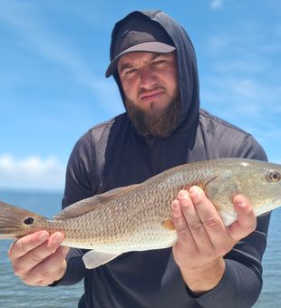Crystal River bite is on!