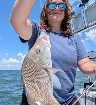 Hooked a big grunt today