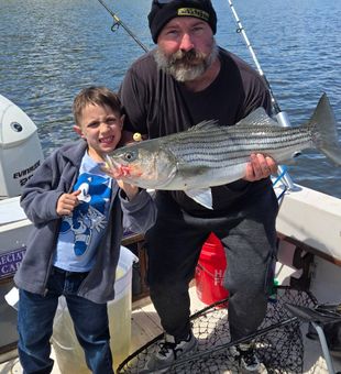 Beautiful Connelly NY striped bass making memories on the water!