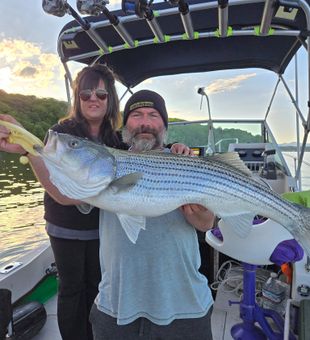 Beautiful Connelly NY striped bass makes for perfect fishing memories!