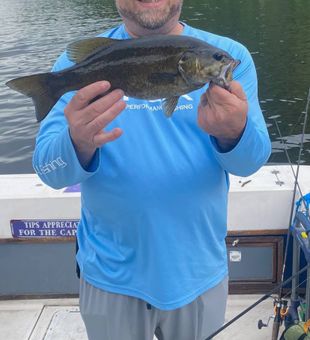 Nice Connelly NY smallmouth bass on the boat!