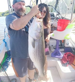 Catching Striped Bass in NY.