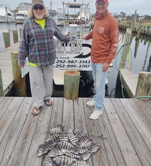 Experience North Carolina Fishing, Sheepshead