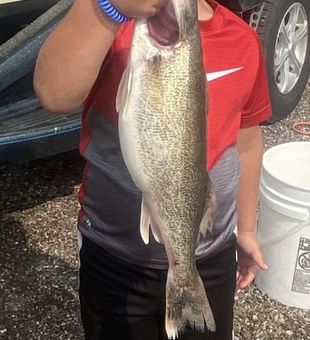Lake Sharpe walleye fishing trip near Pierre SD