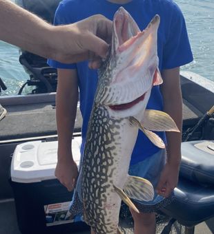 Private fishing charter near Pierre SD