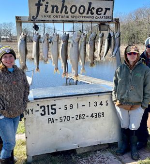 Good catch of Browns & Lakers In Lake Ontario