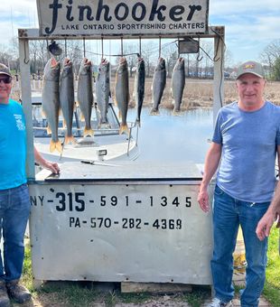 Lake Ontario Decent catch of Browns & Lakers on