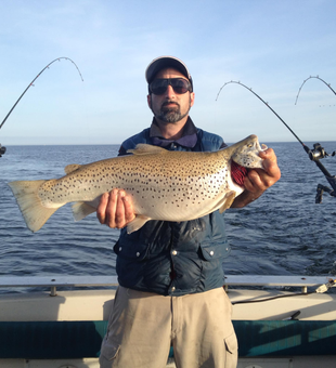 Catch of the day, every day