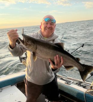 Chinook Salmon caught in Mexico Bay
