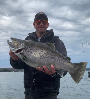 Beautiful brown trout from Mexico NY waters!