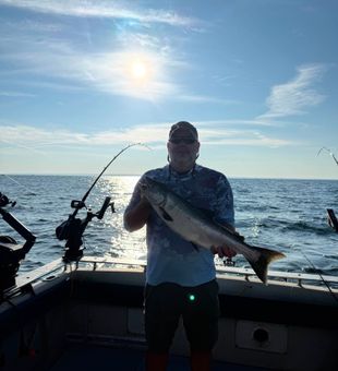 Nice Chinook salmon from Mexico NY waters!