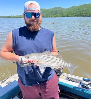 Fresh air, open water, and bent rods create the perfect recipe for an unforgettable day on the lake.