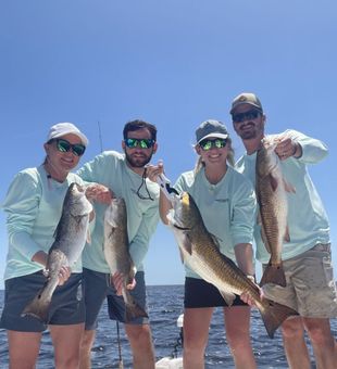 Great weather and active fish nearshore this week