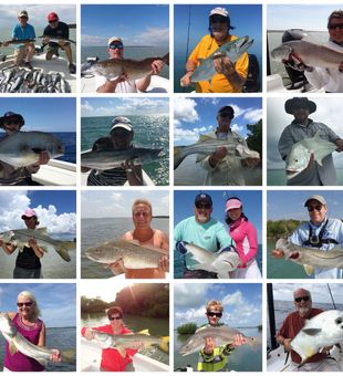 Outstanding variety of Tavernier permit, snook and redfish!