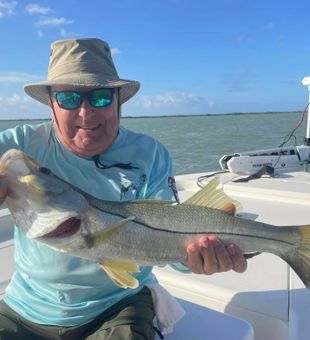 Beautiful Tavernier snook on the boat!