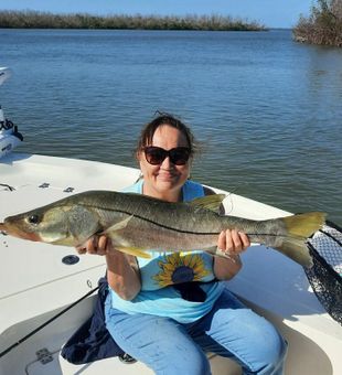 Finest Snook Found In Florida