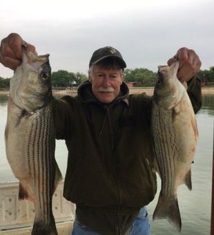 Striper Fishing Lake Buchanan. Book your trip now!