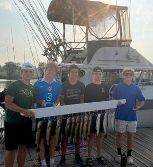 Impressive Walleye Fishing Haul