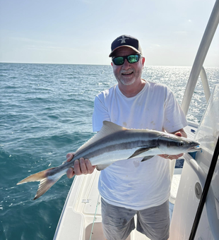 Cobia Fishing in Key West, Florida