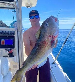 Big Trophy Fish in Sea Isle City