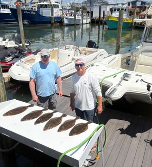 Nice summer flounder and California flounder haul in Sea Isle City!