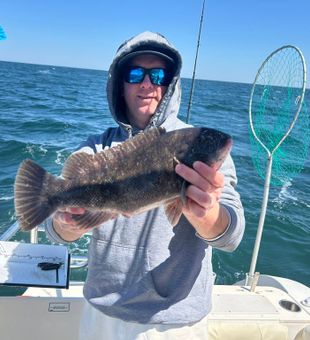 Nice tautog catch on a New Jersey fishing charter