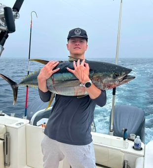 Quality tuna from Sea Isle City waters!