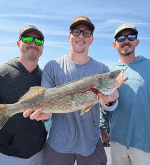 Beautiful Amherst NY walleye makes for perfect fishing success!