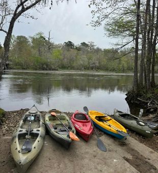 Explore Carrabelle's waters with expert guides!