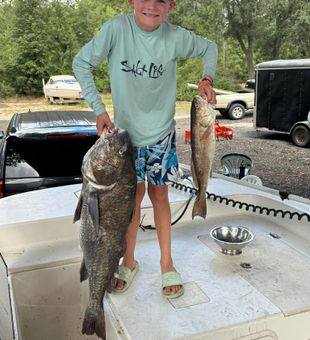 Big catch today!