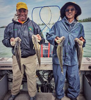 Saginaw Bay Fishing: Walleye Haven