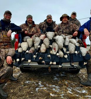 Waterfowls hunting in MI