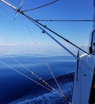 Gulf of Mexico Fishing from Florida