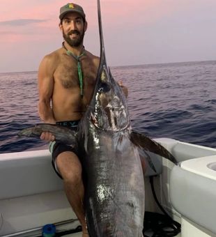 Swordfish Battle in Sunshine State