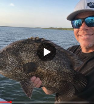 Beautiful Lafitte tripletail makes for an awesome catch!