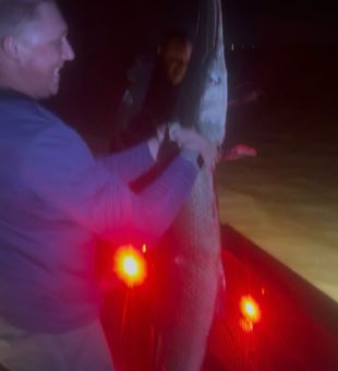 Night fishing action under the red lights in Lafitte!