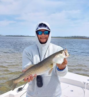 Spotted Sea Trout Fishing Trips