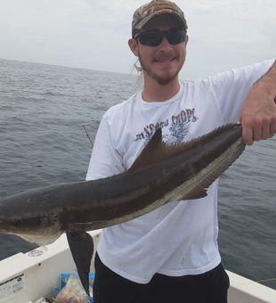 Nice Little River cobia on the boat!