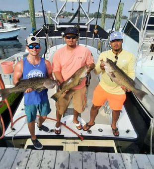 Reel in the Fun with Fishing in Panama Beach!