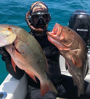 Thrill fishing in Coral Gables!