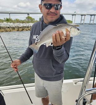 Red hot catch in the Holy City!