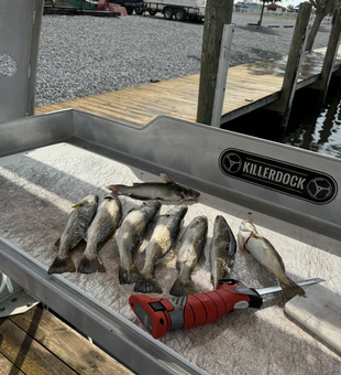 Reelin’ in Reds with Capt. Frank!
