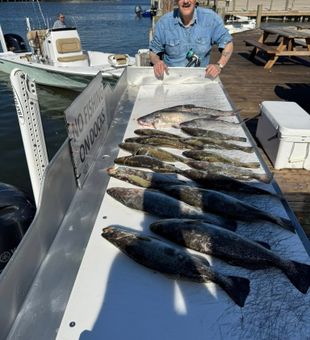 Make today a fishing story.